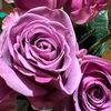 loveandloom